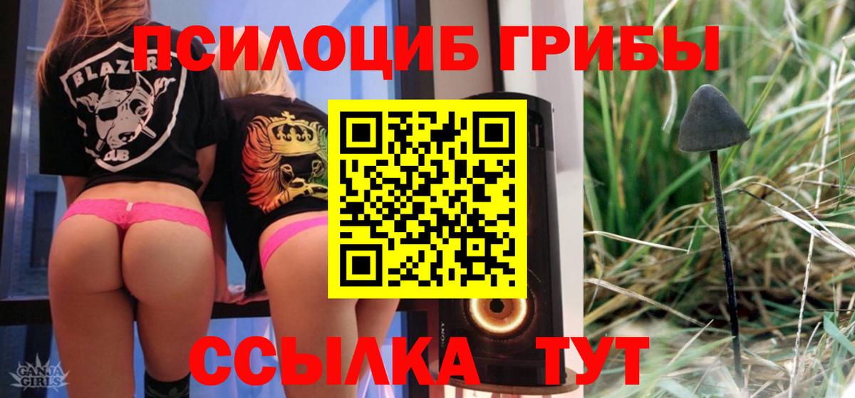 Псилоцибиновые грибы мицелий  Псилоцибиновые грибы Psilocybine cubensis  Тверь  Вход с VPN 