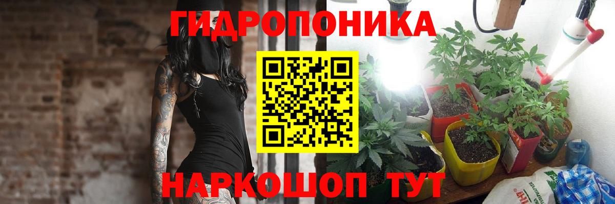 Канабис LSD WEED  Вход с VPN  Тверь  Каннабис планчик  Марихуана Ganja 
